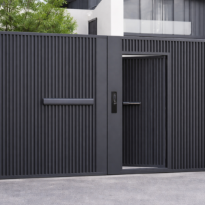 Modern Designer Iron MS Gate